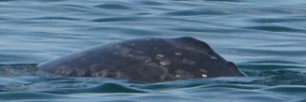 dfb2f746-2da1-4043-b7fe-6e03b04082ea