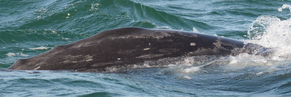 dfb2f746-2da1-4043-b7fe-6e03b04082ea