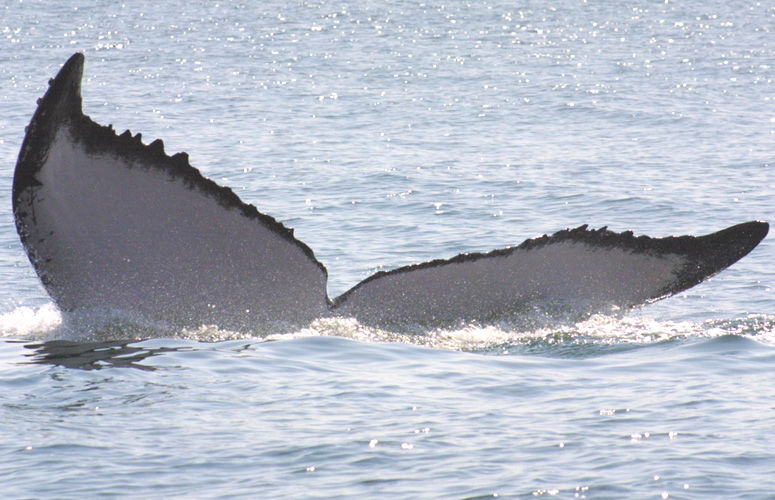 b77f76ef-f3e2-4798-9d09-c1701ed8b0f5