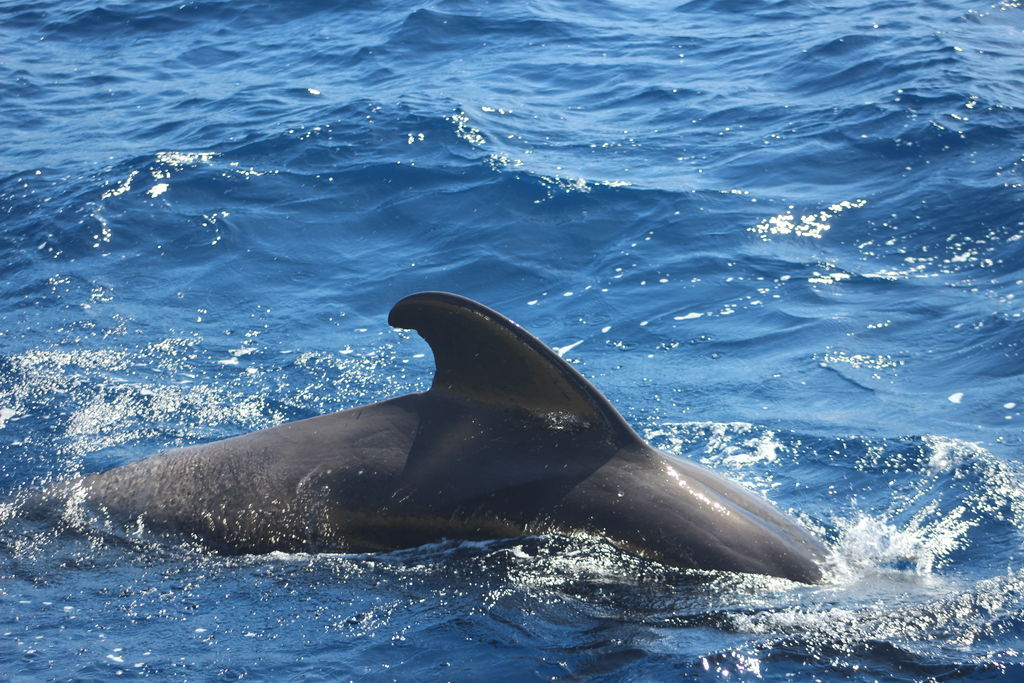 07fb2983-87c9-49a4-901a-3559d942c791