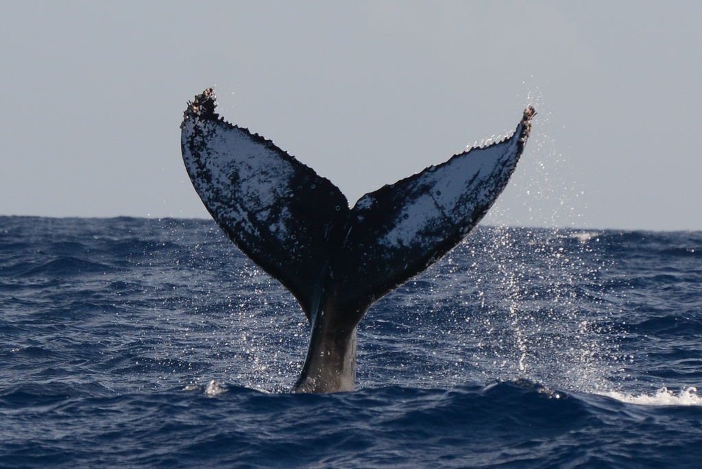 2c208ef4-484c-4968-958e-a7e5f9095f7f