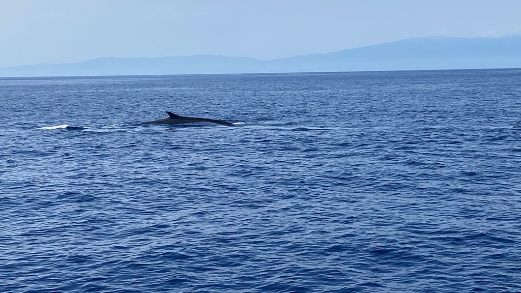 c3f194ab-d4b7-40c7-abfe-09d30e64c5a7