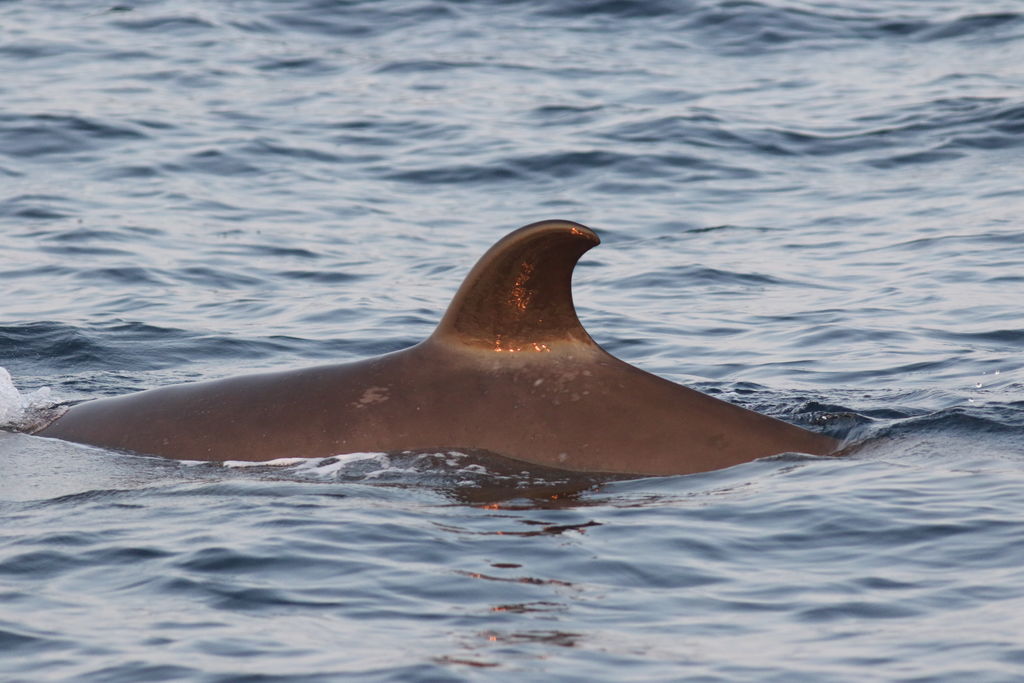 3b1f0809-107b-4586-8298-0f1e669e6c82