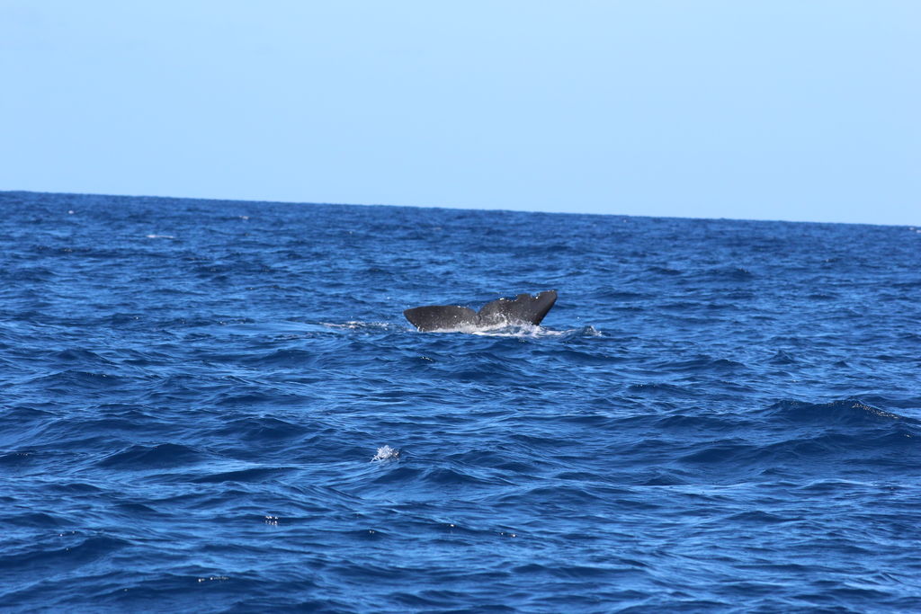 8e105751-f956-4eb2-8914-904a1c6f13ec