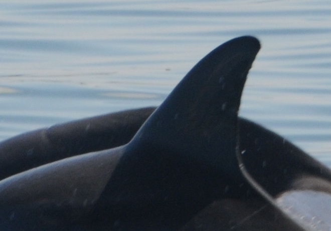 8a1c7a40-e60b-40a1-affb-fa082758f57b