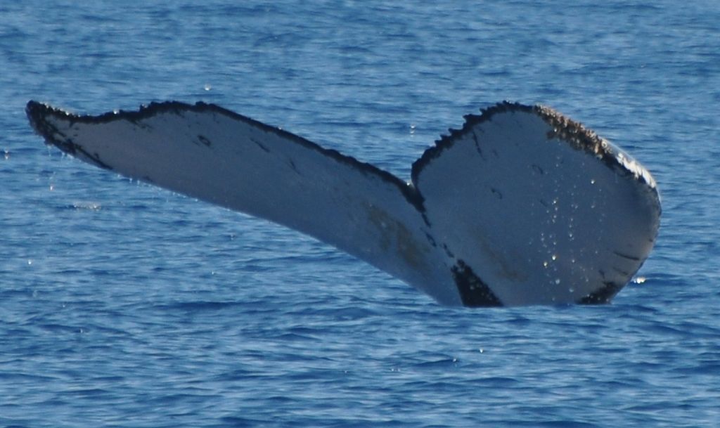 92692561-d652-42b9-804e-b66c02924a4e