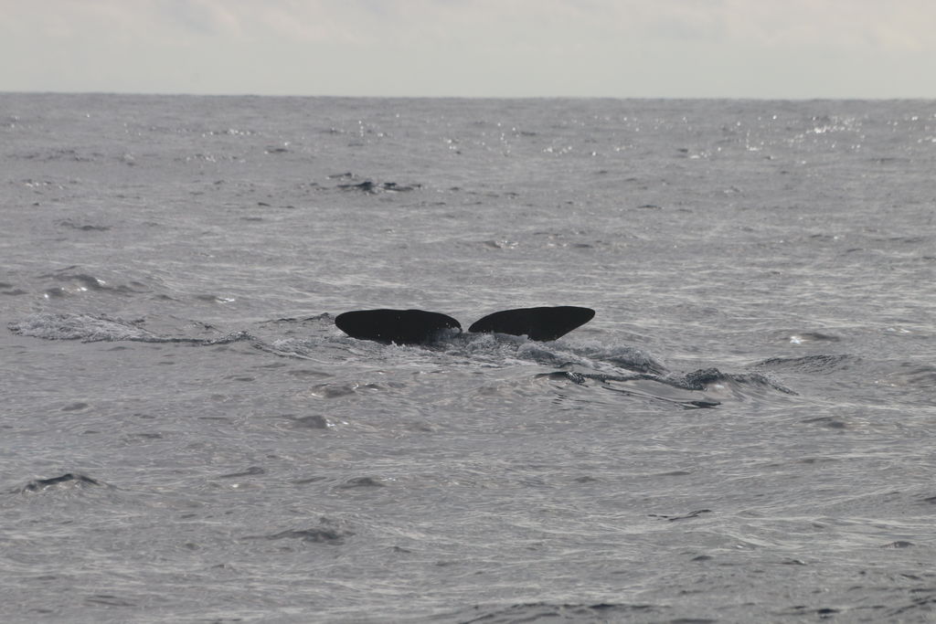 d9b5d37b-f72e-4622-afe4-095021e2d9ef