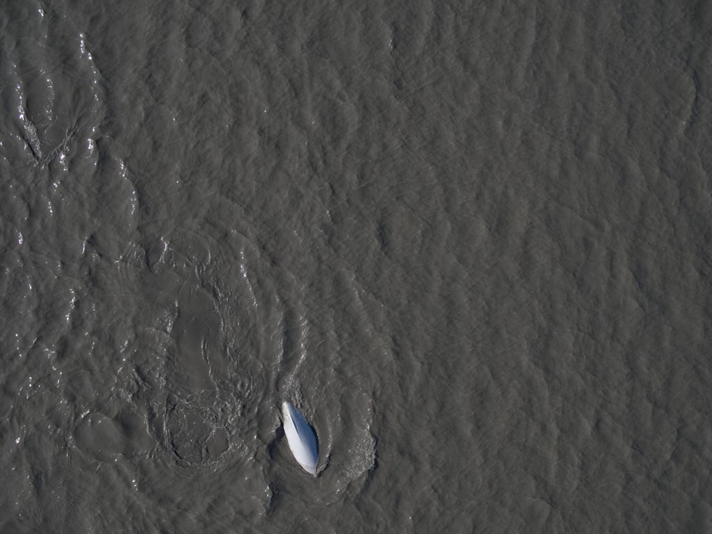 3742b6ee-60d4-4101-94ae-af2bd50b30b8