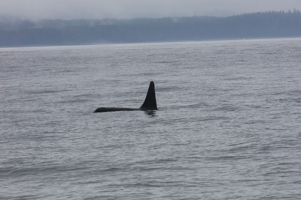 30e909ef-2711-40c3-a689-4677d951b6dd