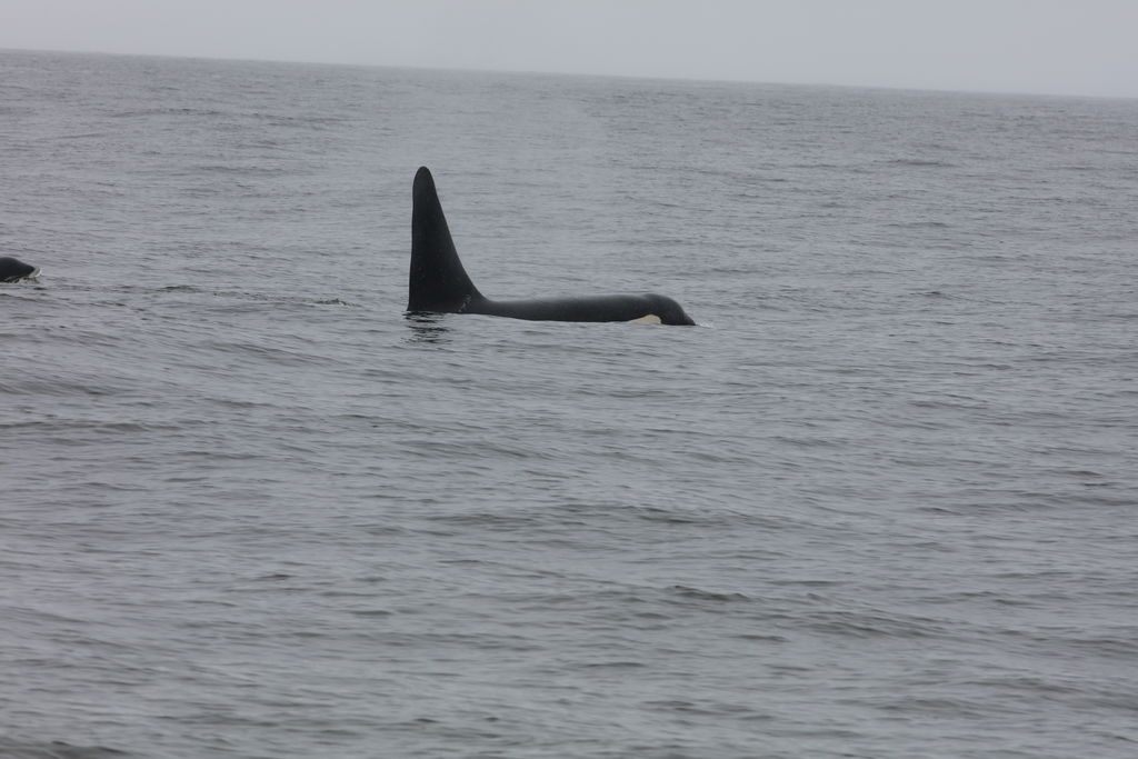 30e909ef-2711-40c3-a689-4677d951b6dd