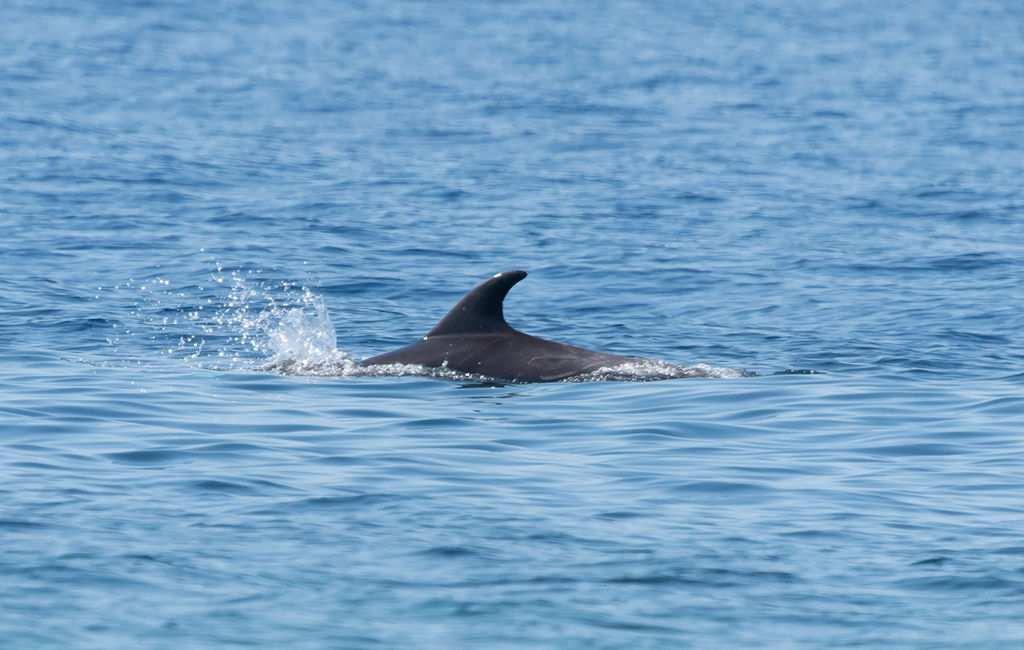 37421672-3409-4af2-bb5d-437e8ab62c73