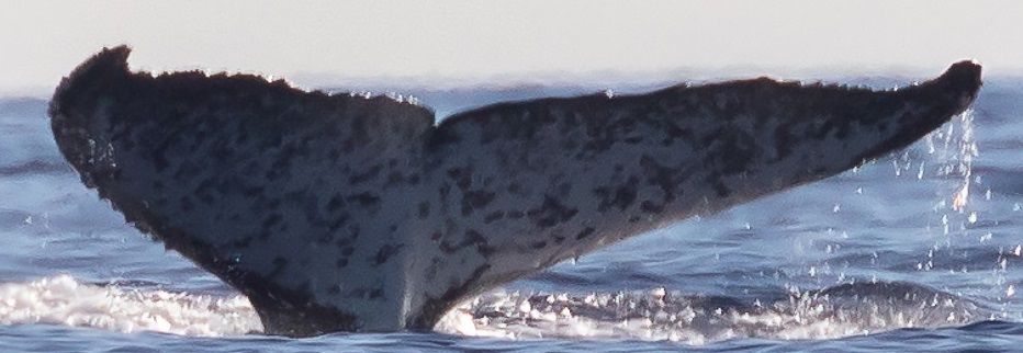 2ed611f1-38d2-4d48-b96d-72ae3978347f