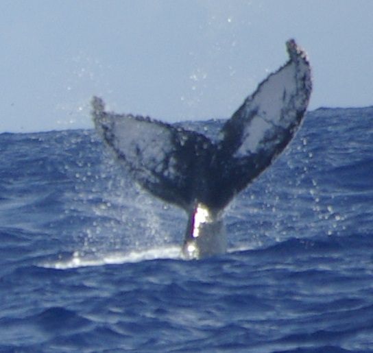 2c208ef4-484c-4968-958e-a7e5f9095f7f