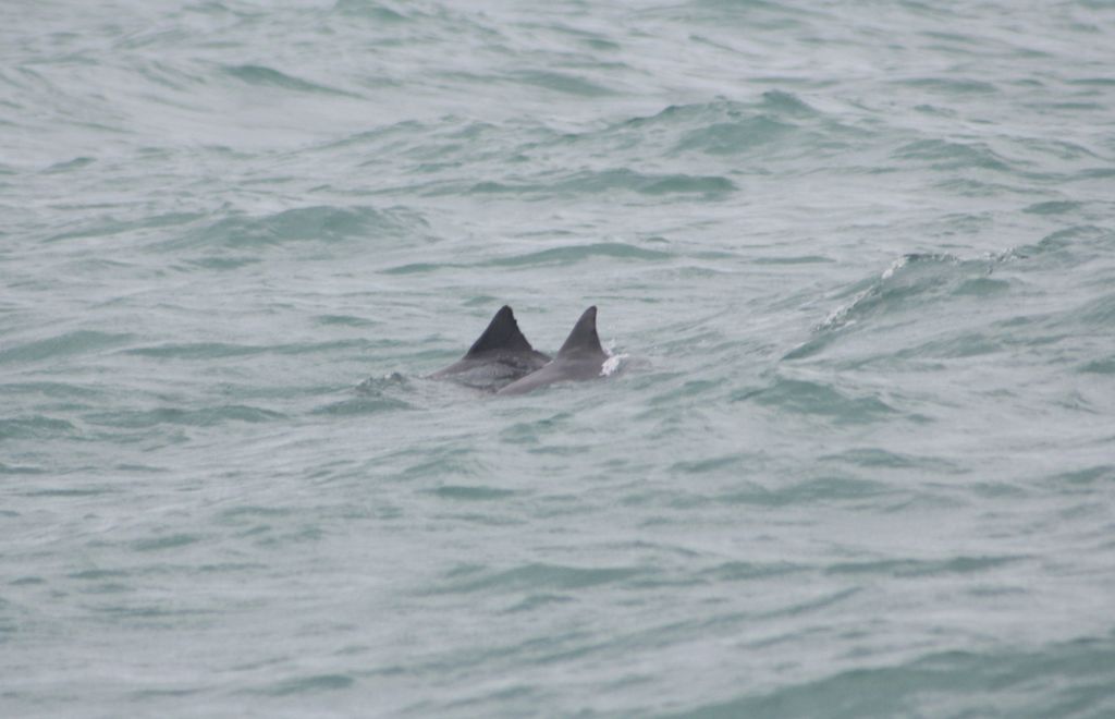 4567d23d-9a5d-464a-9386-99634b1d3593