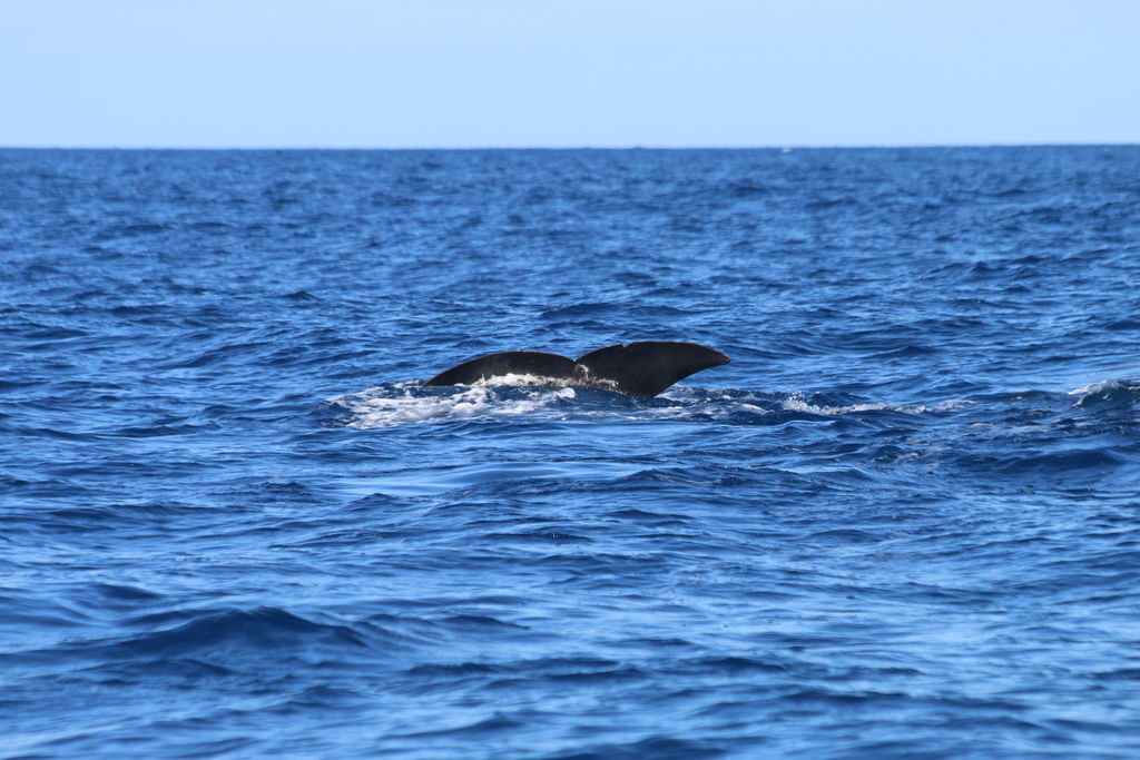 bfabec9e-2494-4593-a95f-158eec58ece6