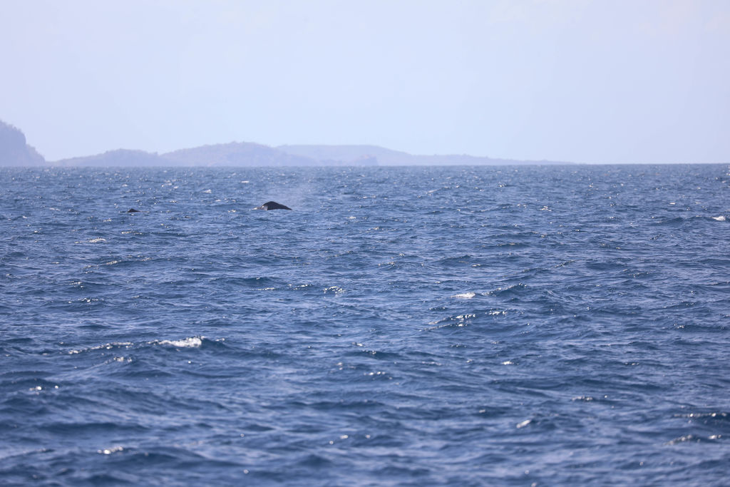 087bb825-74d7-4e42-94b9-0fa70d2dd451