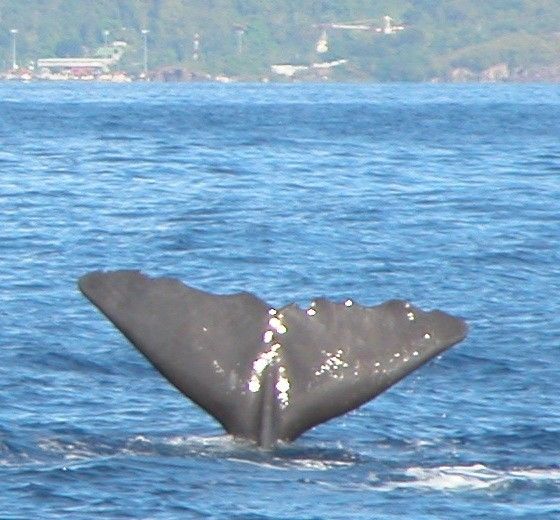 1cc2f976-8a57-4b71-a1cf-05e9ab011473