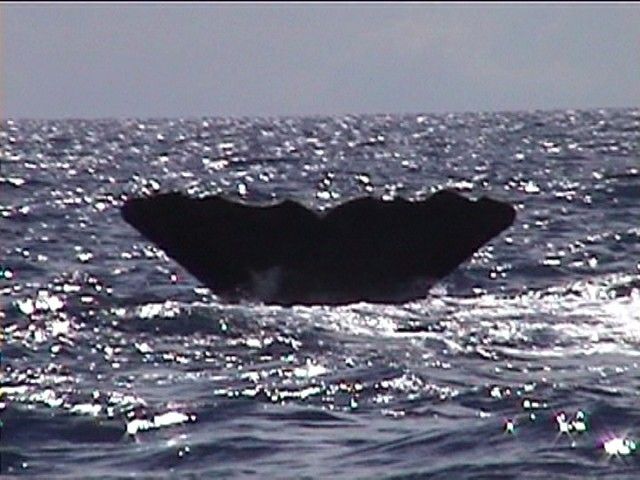 1cc2f976-8a57-4b71-a1cf-05e9ab011473