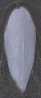 21f561d3-3a11-4a98-8557-47db755ad53d