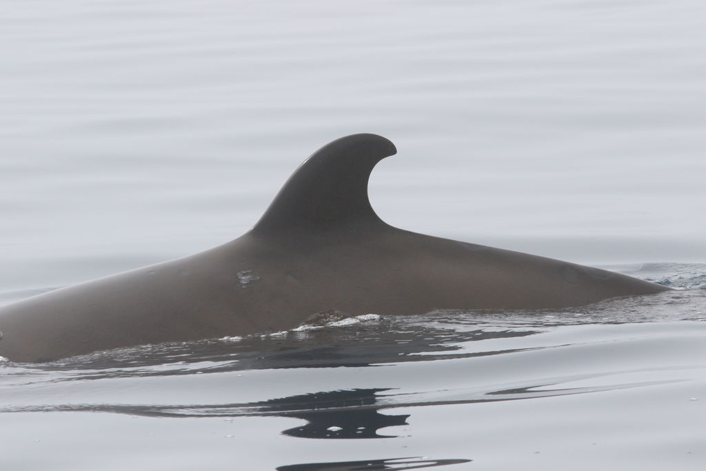 3b1f0809-107b-4586-8298-0f1e669e6c82