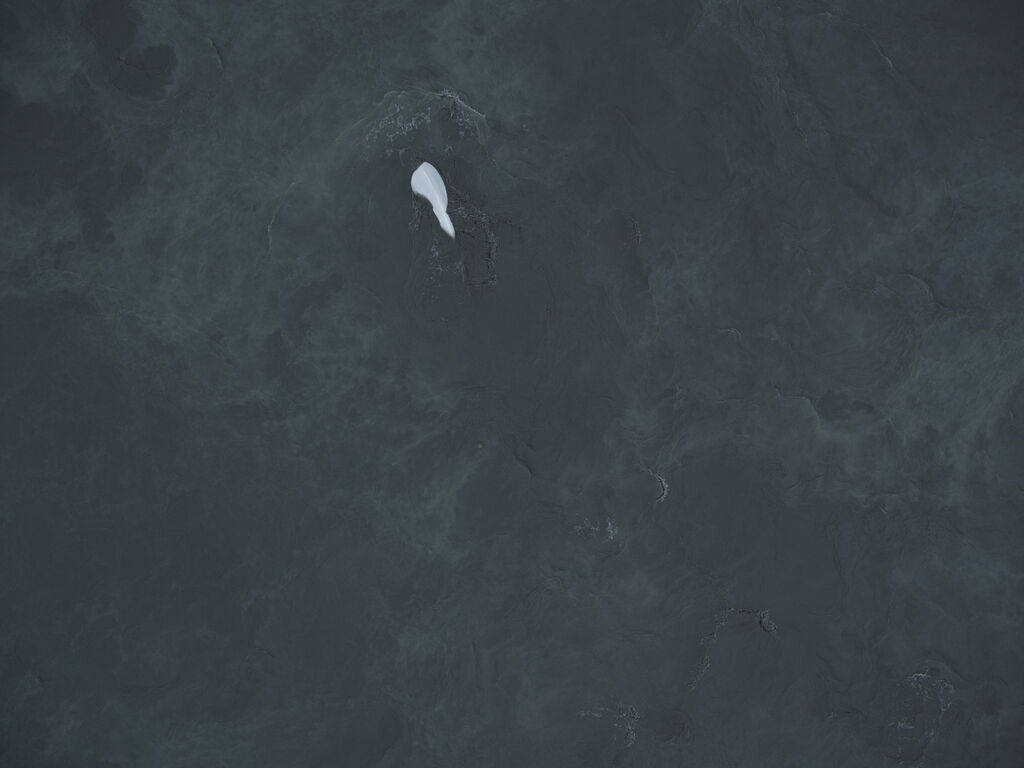 3742b6ee-60d4-4101-94ae-af2bd50b30b8