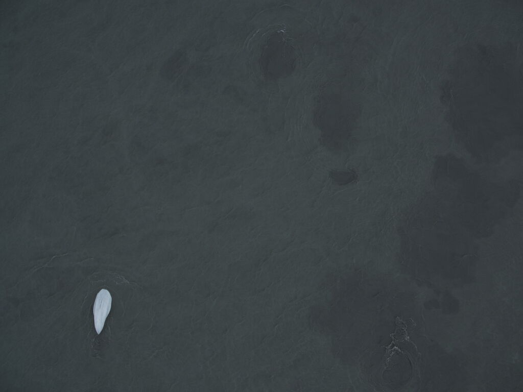 f171a95f-baab-421d-a053-ea8eb9f586c4