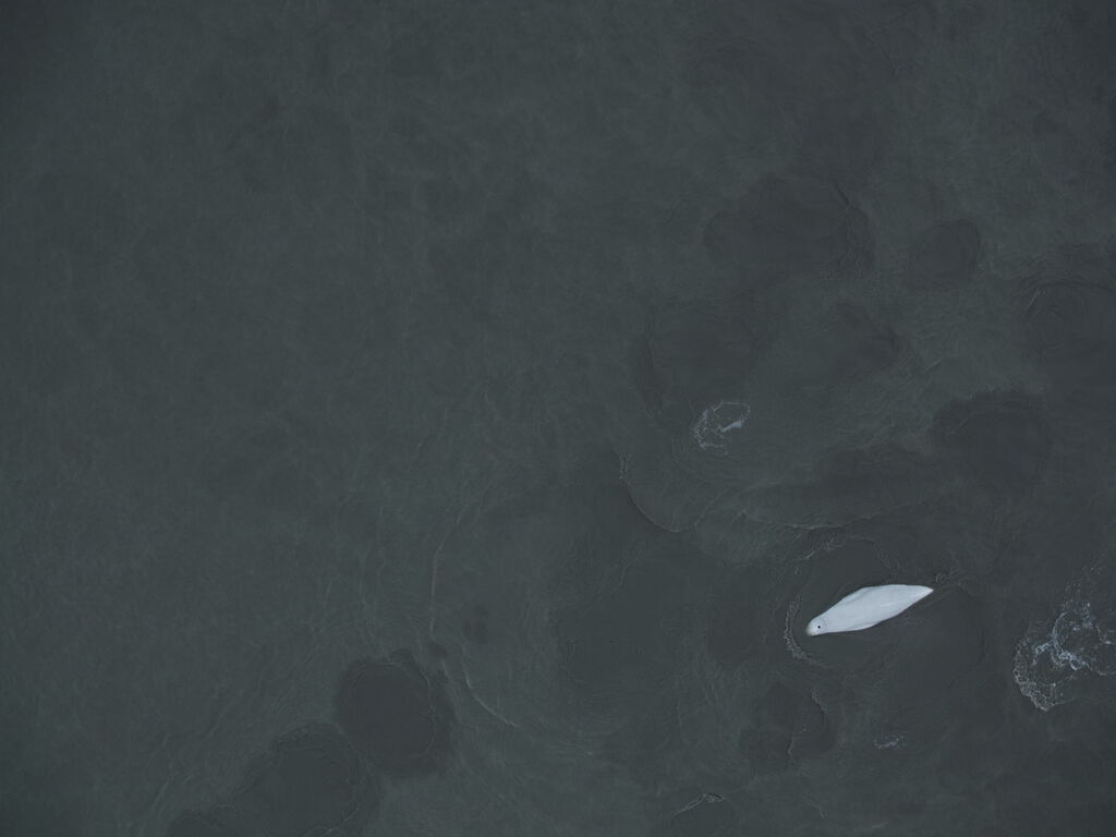 3742b6ee-60d4-4101-94ae-af2bd50b30b8