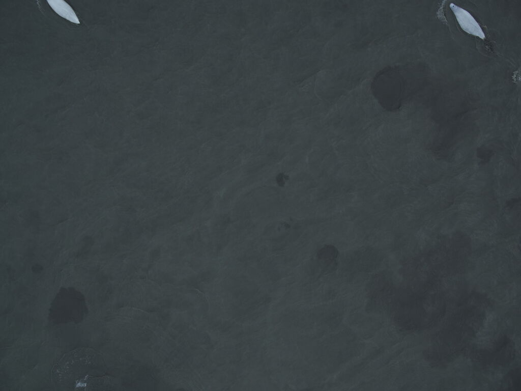 941baade-8081-4829-8fa0-6c6cfa3b0f05