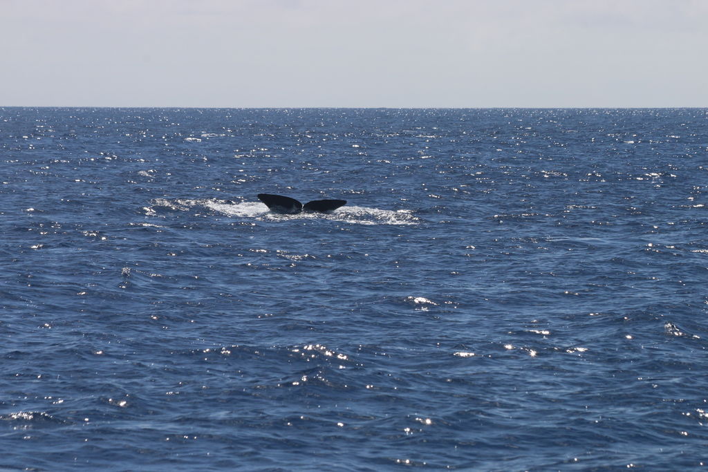 dc572b3f-77ca-4008-964b-6da8343cf20d