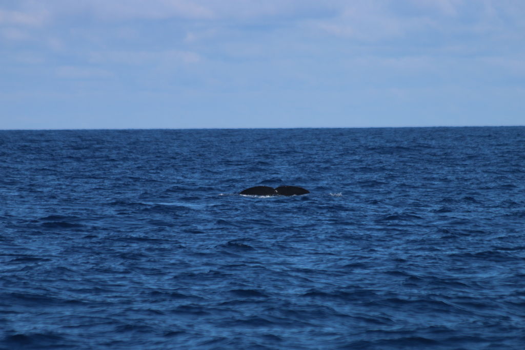 bfabec9e-2494-4593-a95f-158eec58ece6