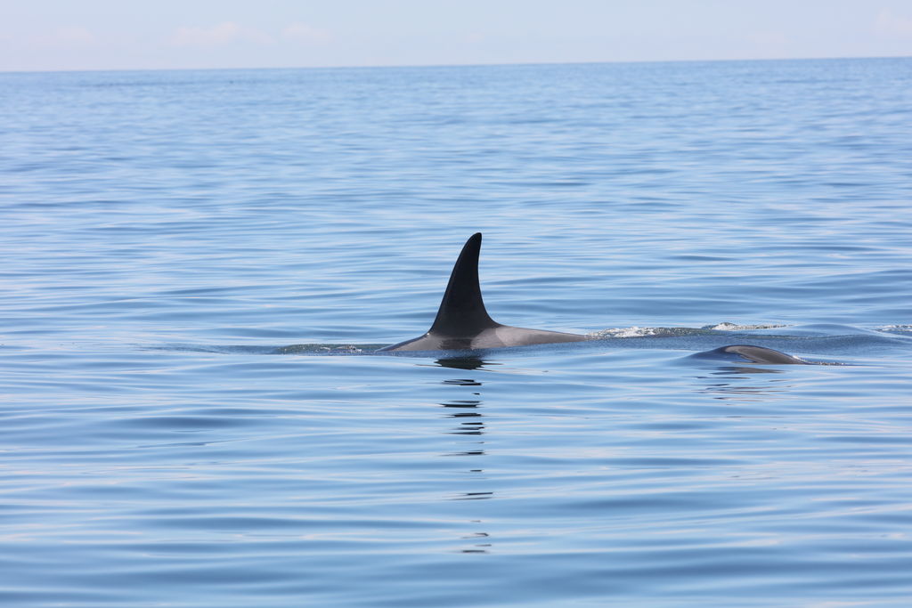 4ed20365-0481-417e-99a8-c77f5acc72c9