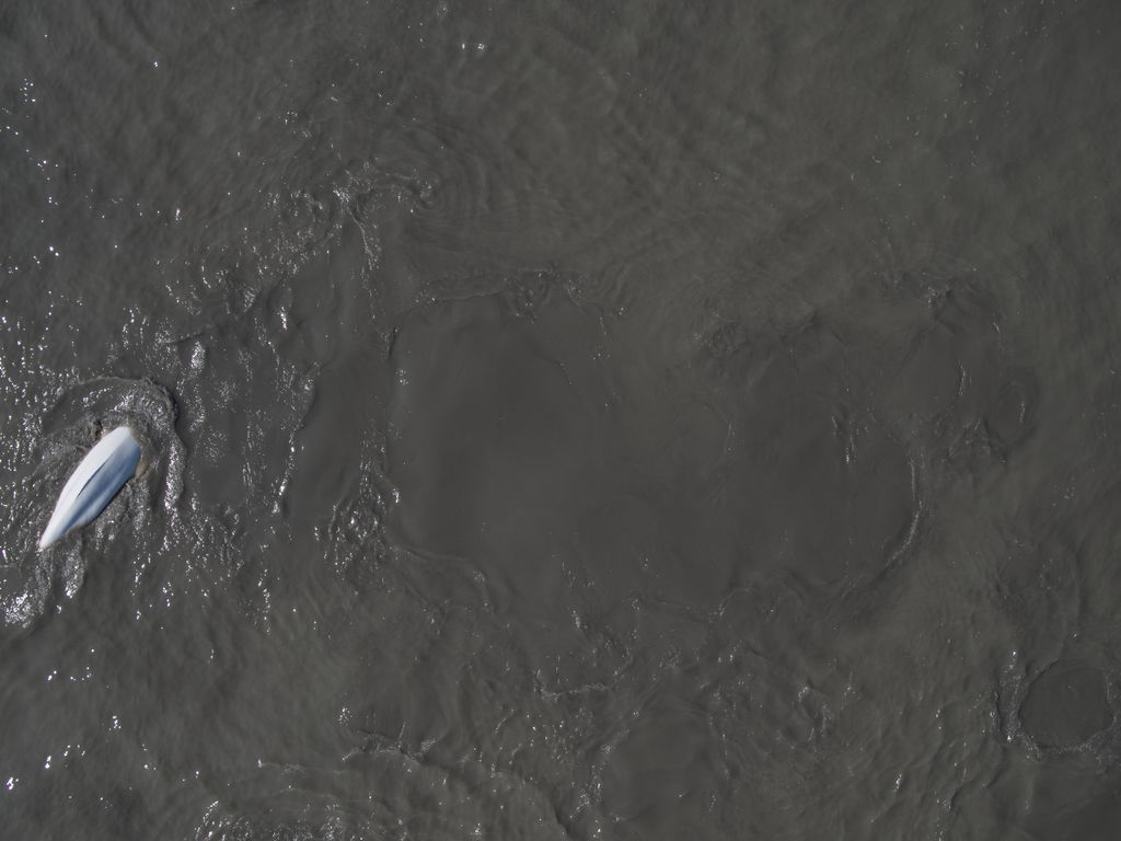 12769785-8a0d-48c1-92d3-91bad8040ef2