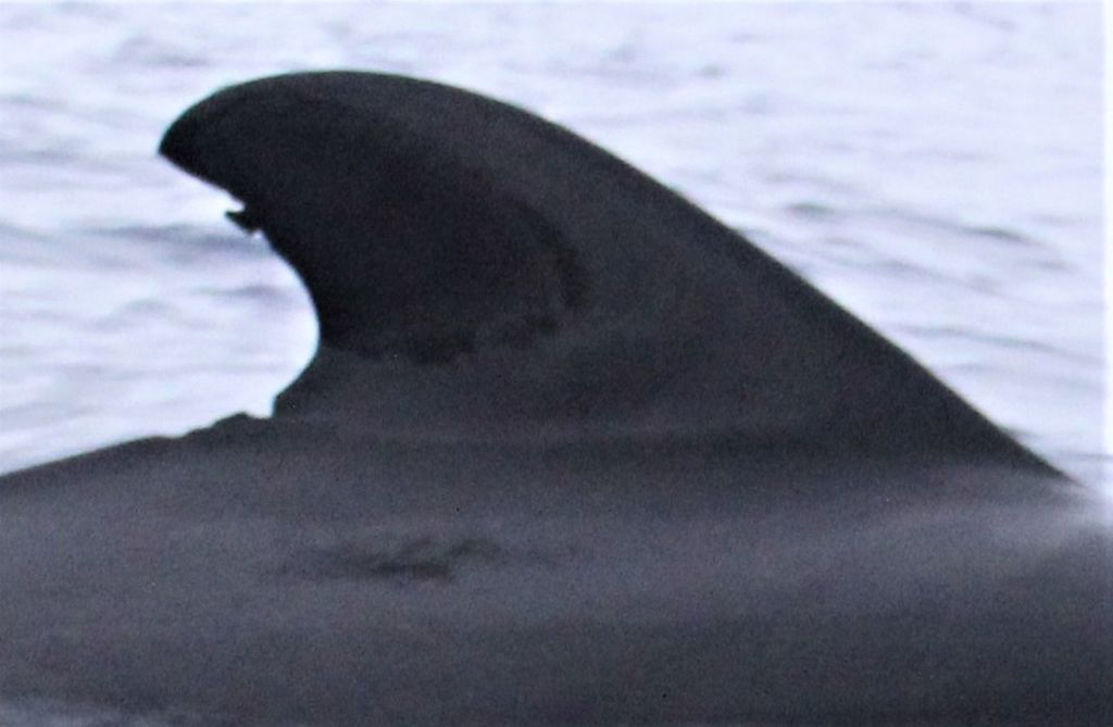 43642a5f-1e20-42b7-ae93-03a44e7af10e