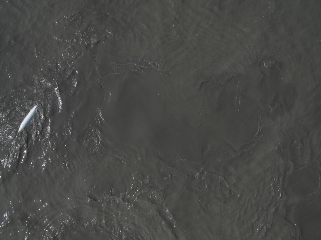 12769785-8a0d-48c1-92d3-91bad8040ef2