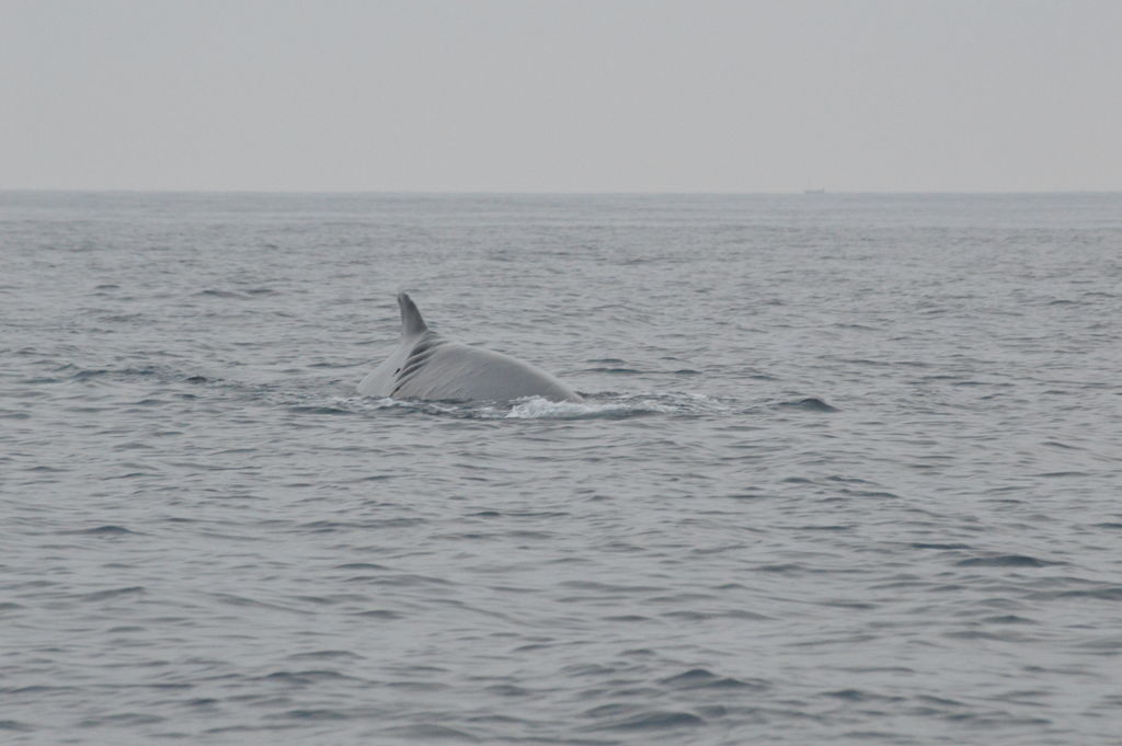 c4477f78-9078-49b2-bd3f-1c44f906833b