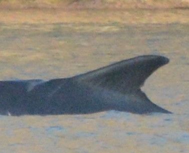 c4477f78-9078-49b2-bd3f-1c44f906833b