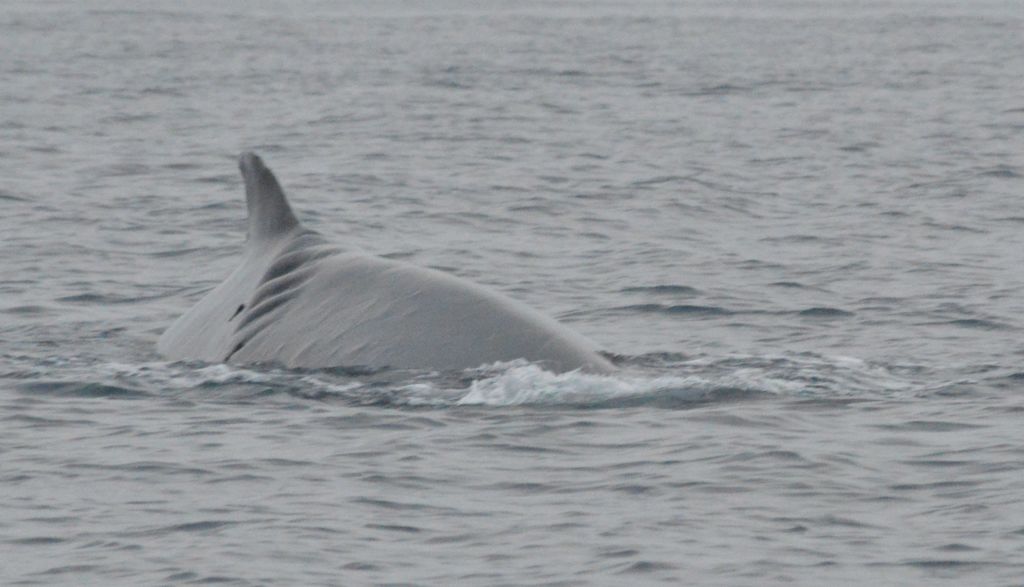 c4477f78-9078-49b2-bd3f-1c44f906833b