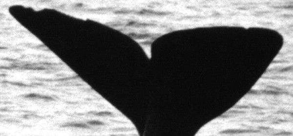 a11b3daf-69c6-48c5-b6dc-4d8b127d59a3