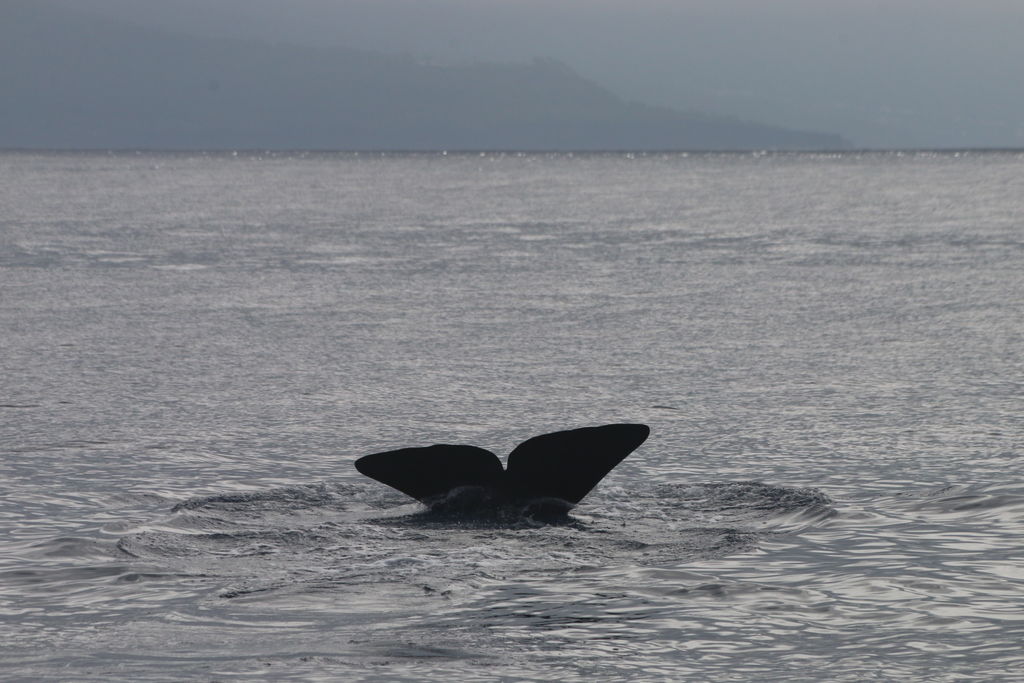 d9b5d37b-f72e-4622-afe4-095021e2d9ef