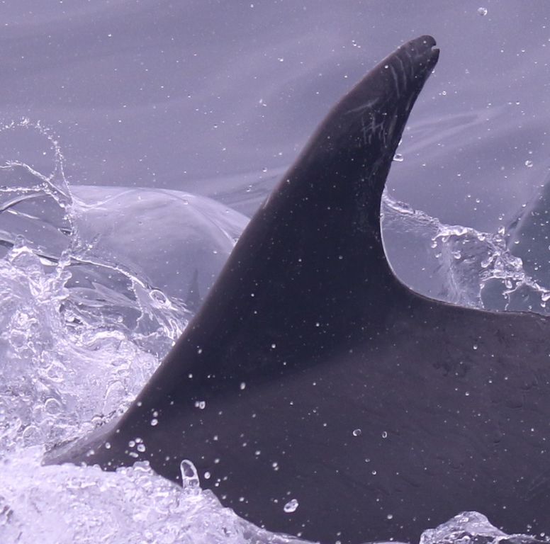 429a31bc-e0e1-494f-ae1a-6db67921cb3f