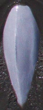 3742b6ee-60d4-4101-94ae-af2bd50b30b8