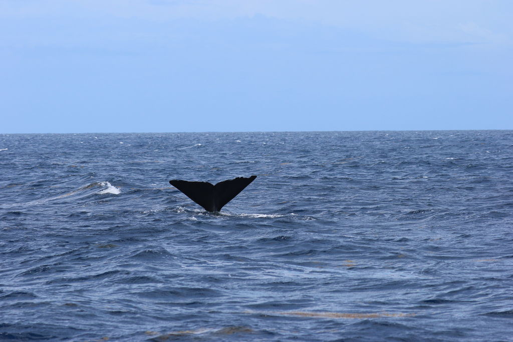 70d56c79-5379-404c-afae-51816cec446d