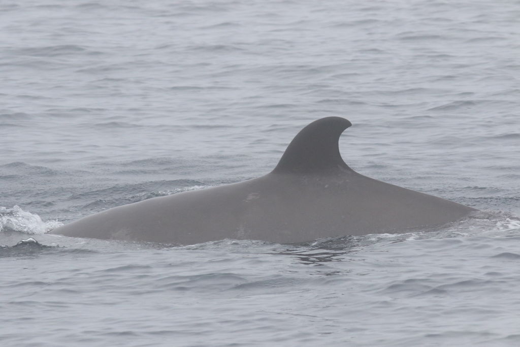 3b1f0809-107b-4586-8298-0f1e669e6c82