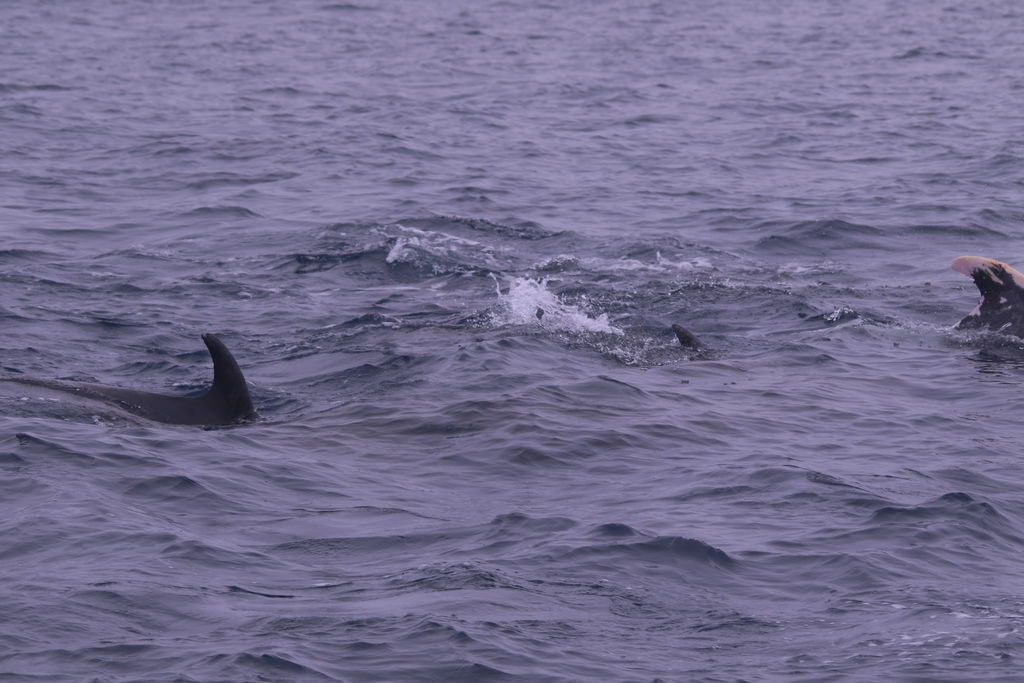 7e5be5d6-60cf-40ab-99e6-c45c768cf284