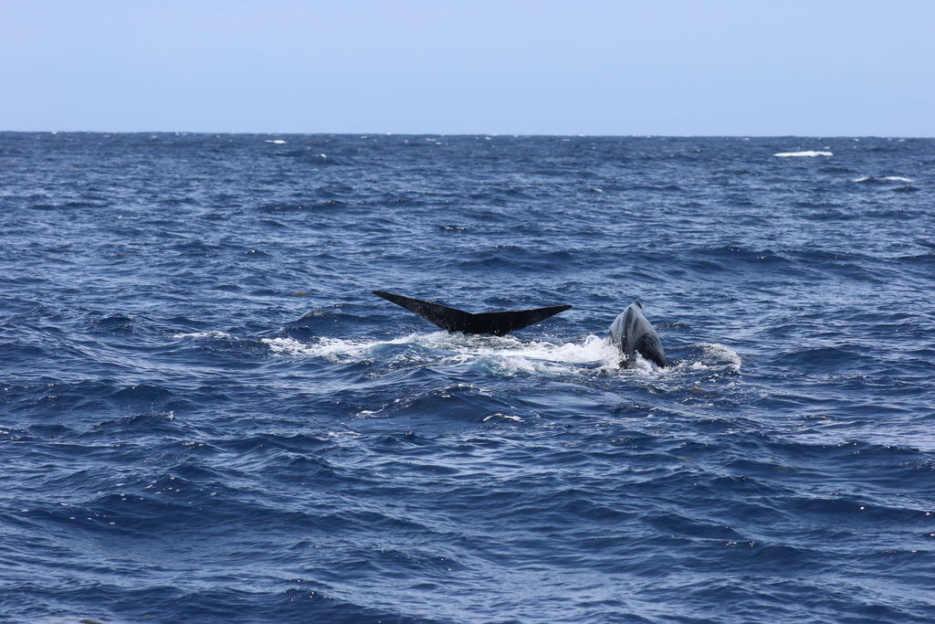 36aea80a-06be-4e45-8e1b-0adeceb514a1