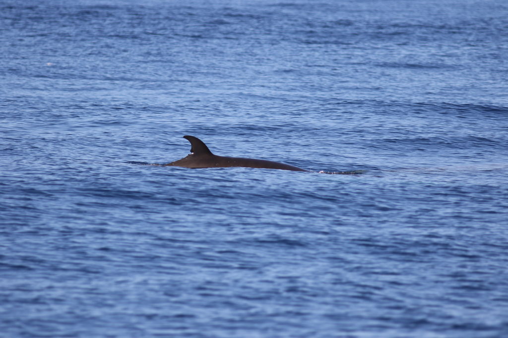 71562c2e-38d3-45c7-938e-b69dca4db793