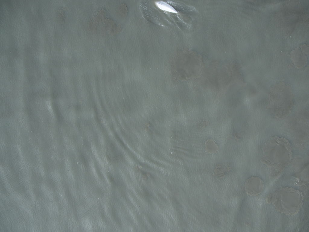 ecee3c53-4fc1-462a-b87b-d71bb7472dac