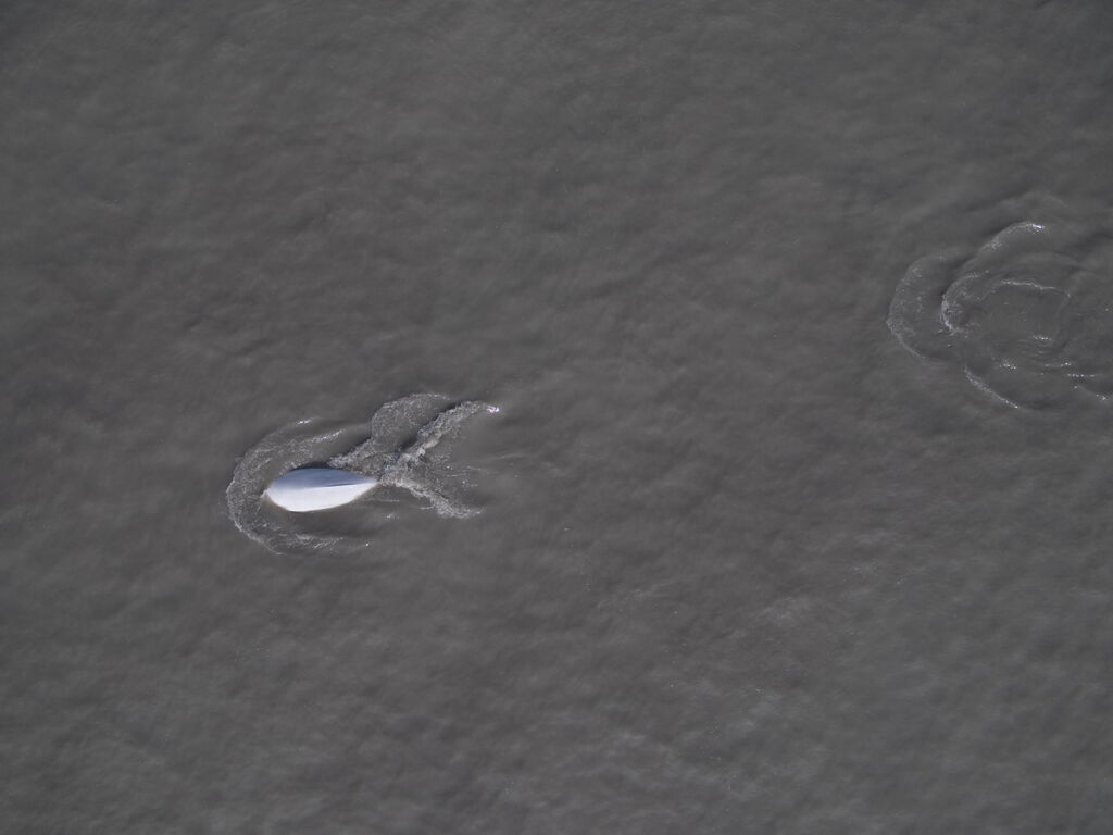 250d72ee-3e9e-4c54-b3c2-c2178019a3d8