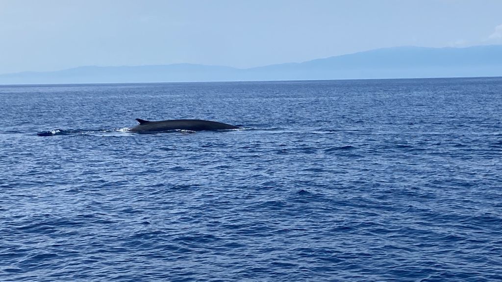 c3f194ab-d4b7-40c7-abfe-09d30e64c5a7