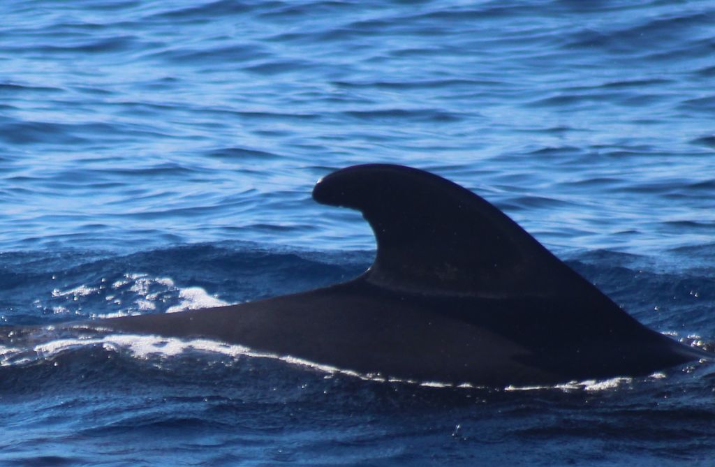 07fb2983-87c9-49a4-901a-3559d942c791